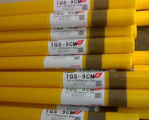 TGS-5CM ձ䓺z