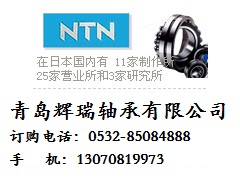 NTN 2201SS