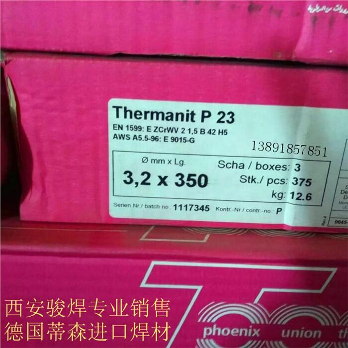 ɭThermanit P23lE9018-Gl T23P23l