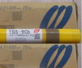 ձ䓺zTGS-2CM