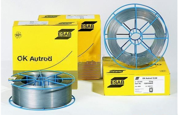 _ESABMںlOK Autrod 308LMںz