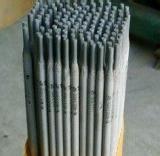 KE308-16P䓺l