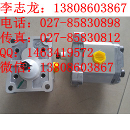 ҺR_F12-030-MS-SV-T-000-000-0