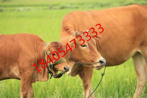 lH3̎