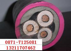 YC-450/750 3*120