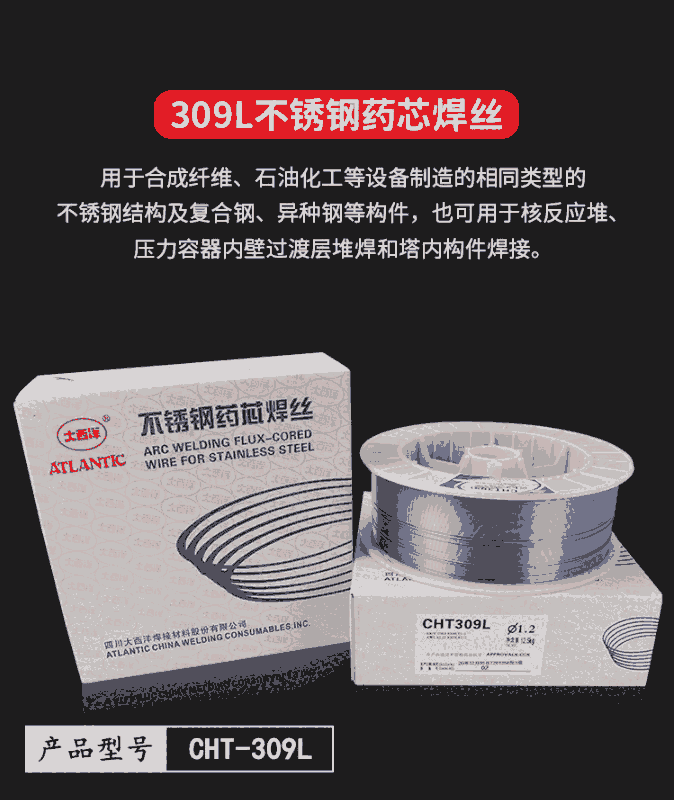 CHT316LwoPˎоz E316LT1-1
