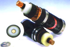HS113NiⒻѺzߜĥzHS113NiⒻz/̖r